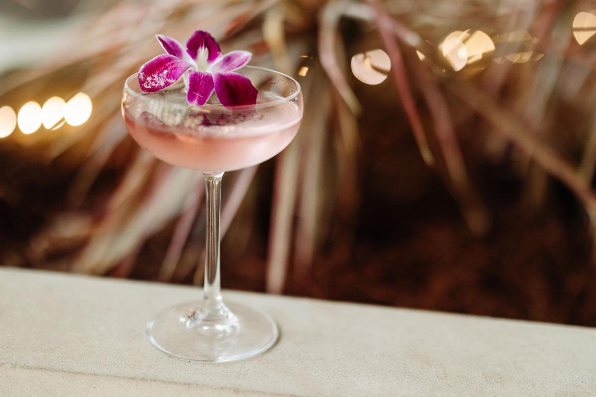 Sheraton New Orleans Hotel Bagian luar foto